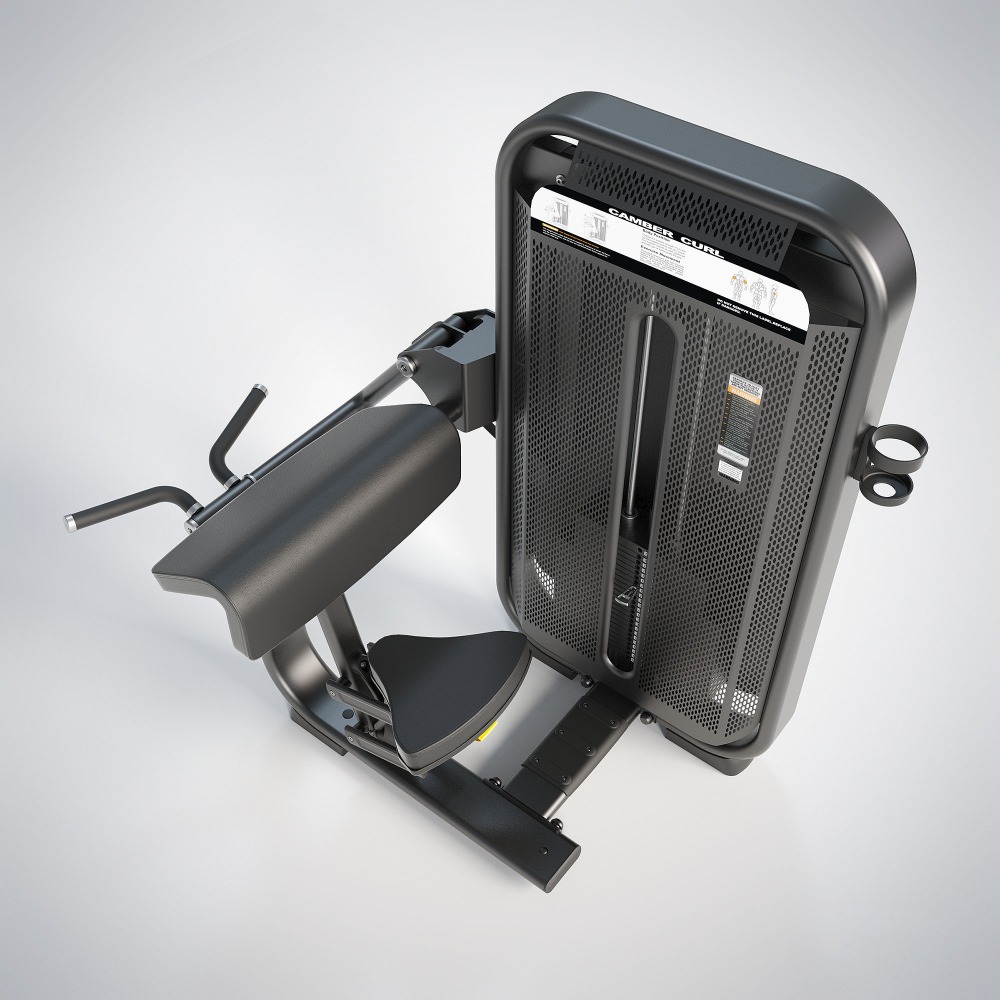 バイセップスカール BICEPS CURLの製品詳細 | 日本