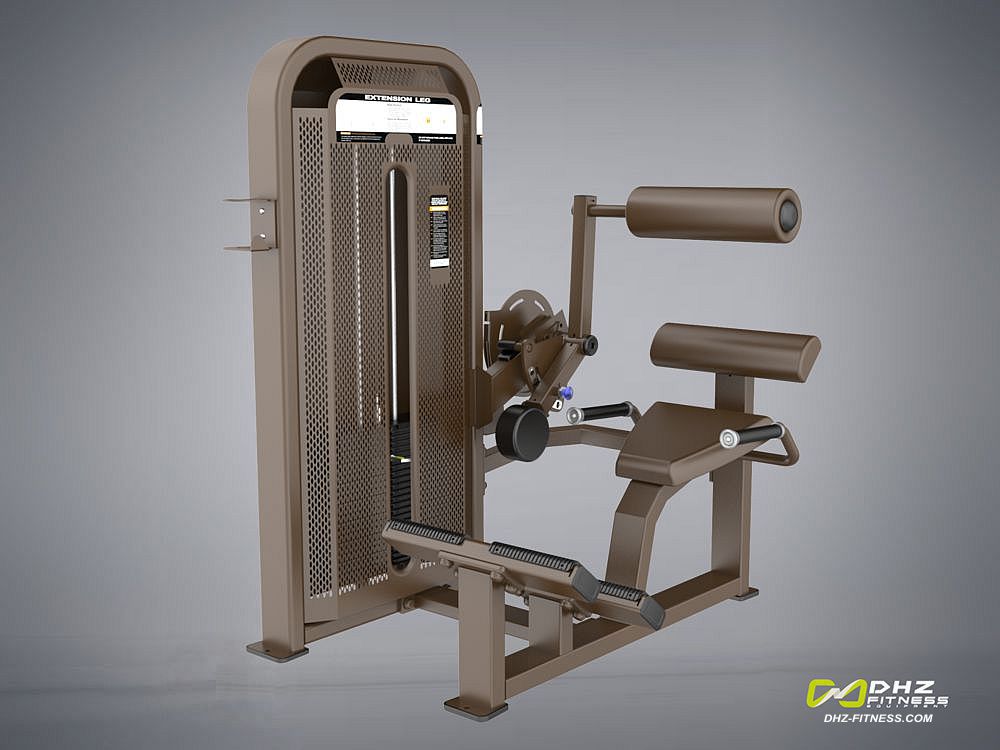 バックエクステンション バックエクステンション BACK EXTENSIONの製品詳細 | 日本